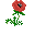 File:Poppy Flower.png